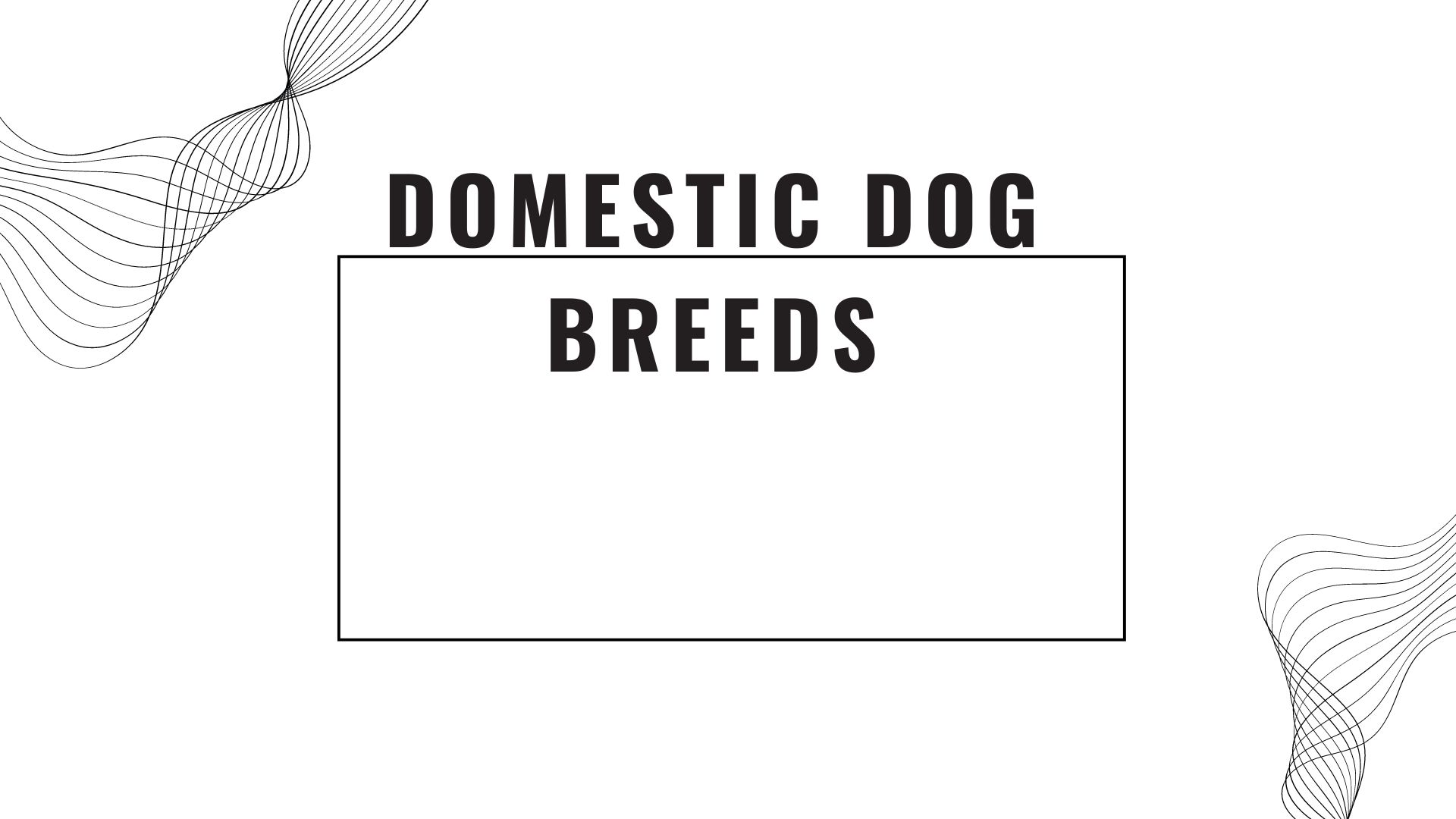 Domestic dog breeds