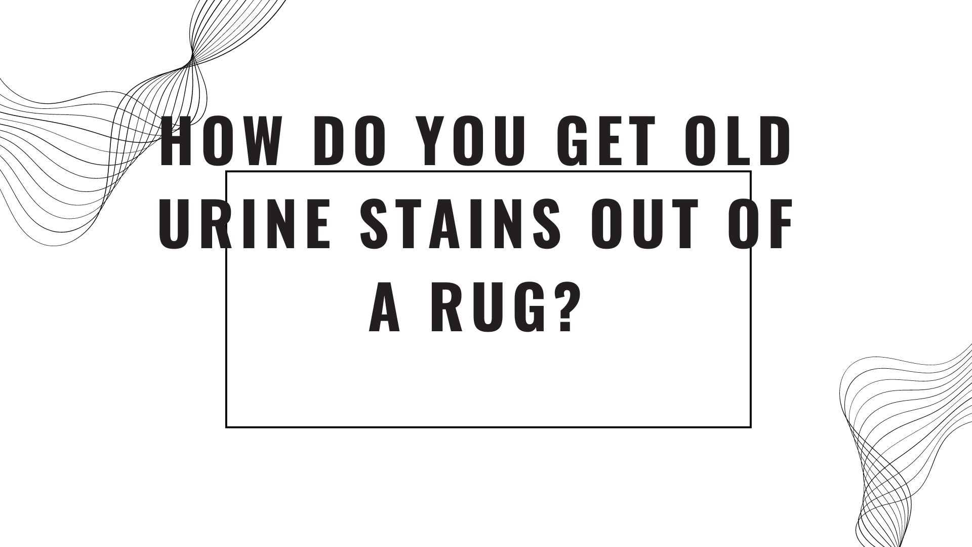 How do you get old urine stains out of a rug?