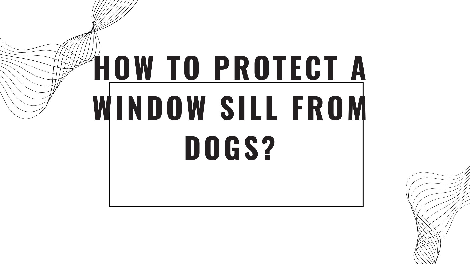 How to protect a window sill from dogs?