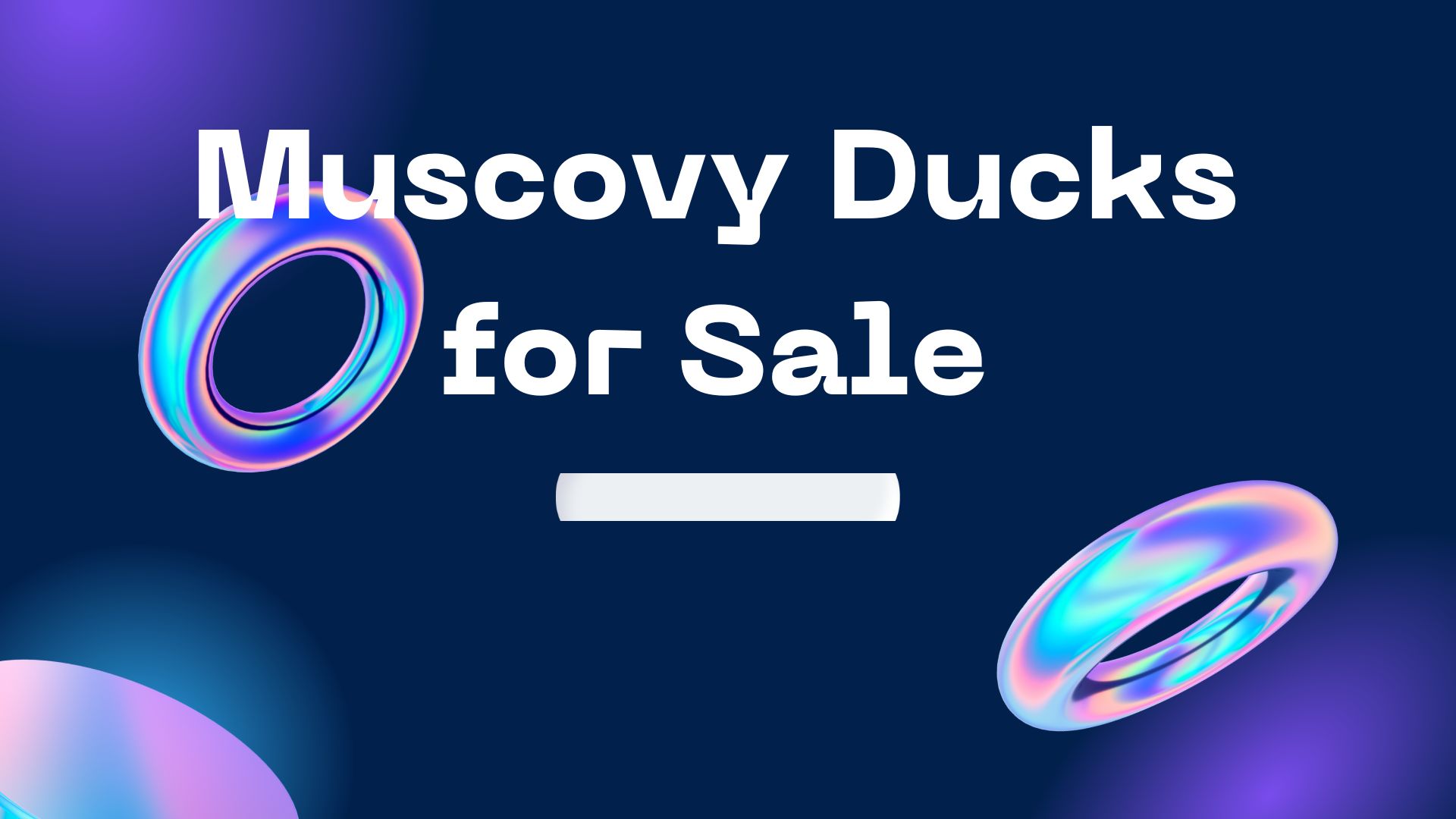 Muscovy Ducks for Sale