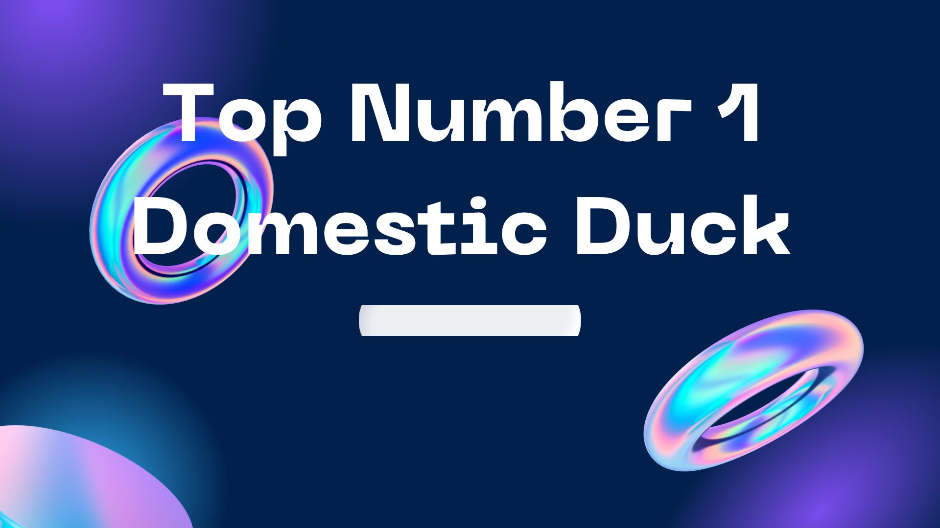 Top Number 1 Domestic Duck