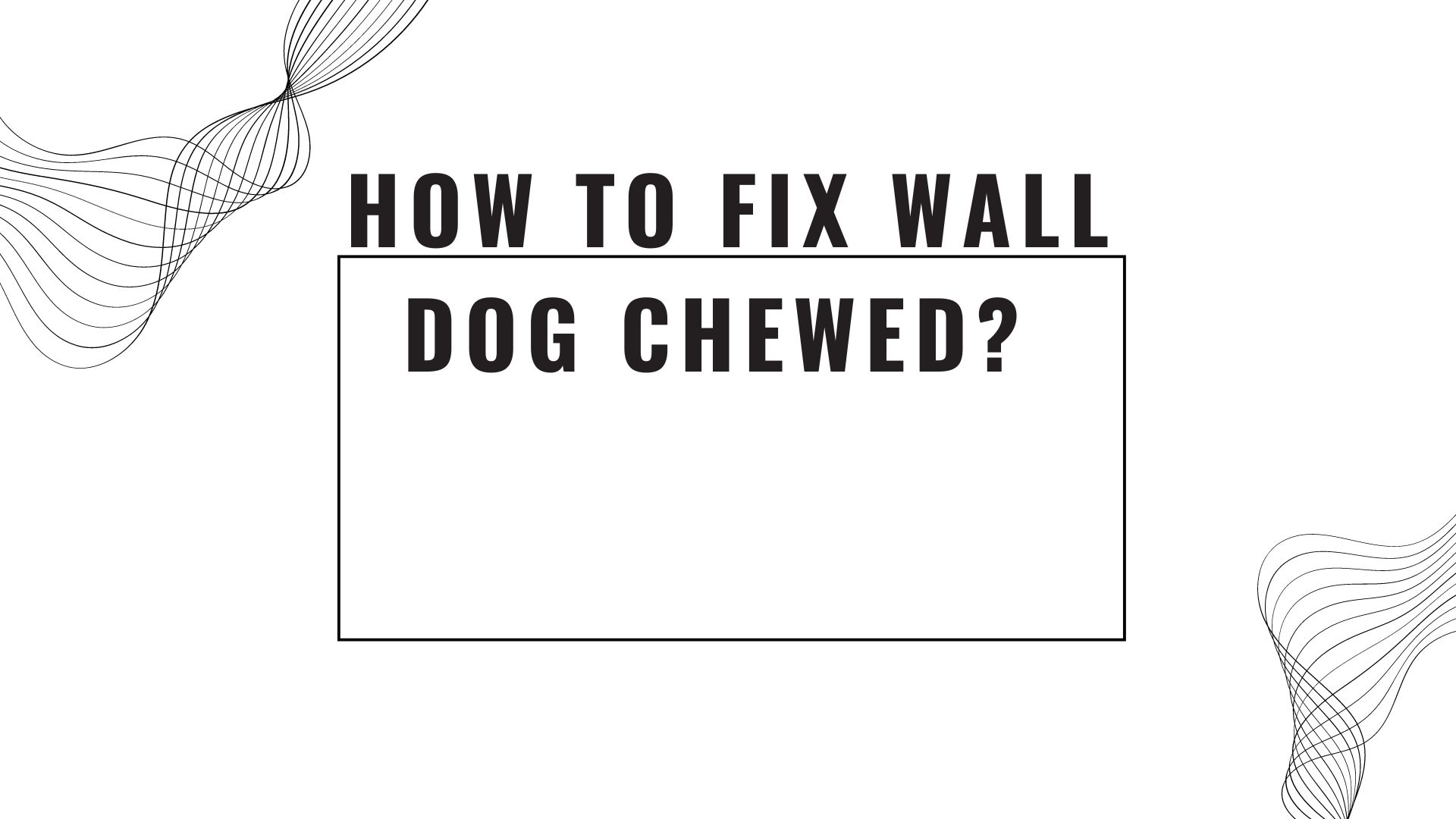 how to fix wall dog chewed?