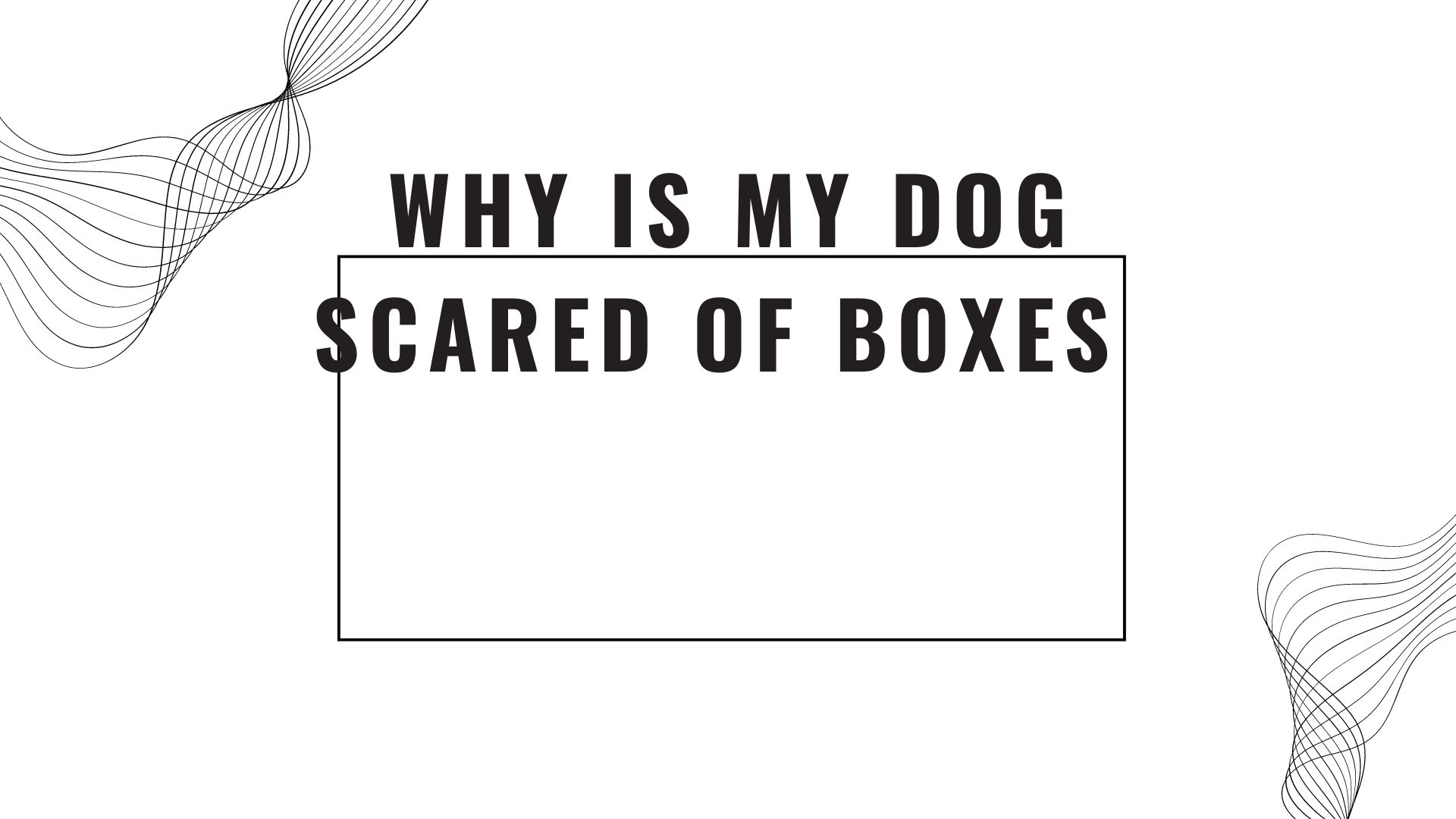 why is my dog scared of boxes