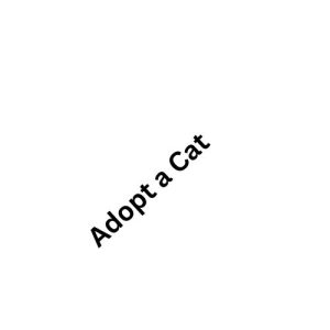 Adopt a Cat