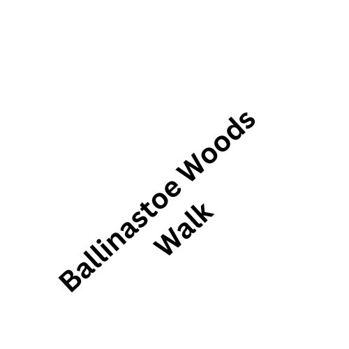 Ballinastoe Woods Walk