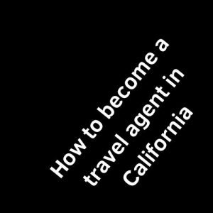 How to become a travel agent in California