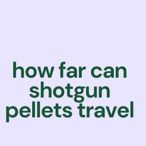 how far can shotgun pellets travel