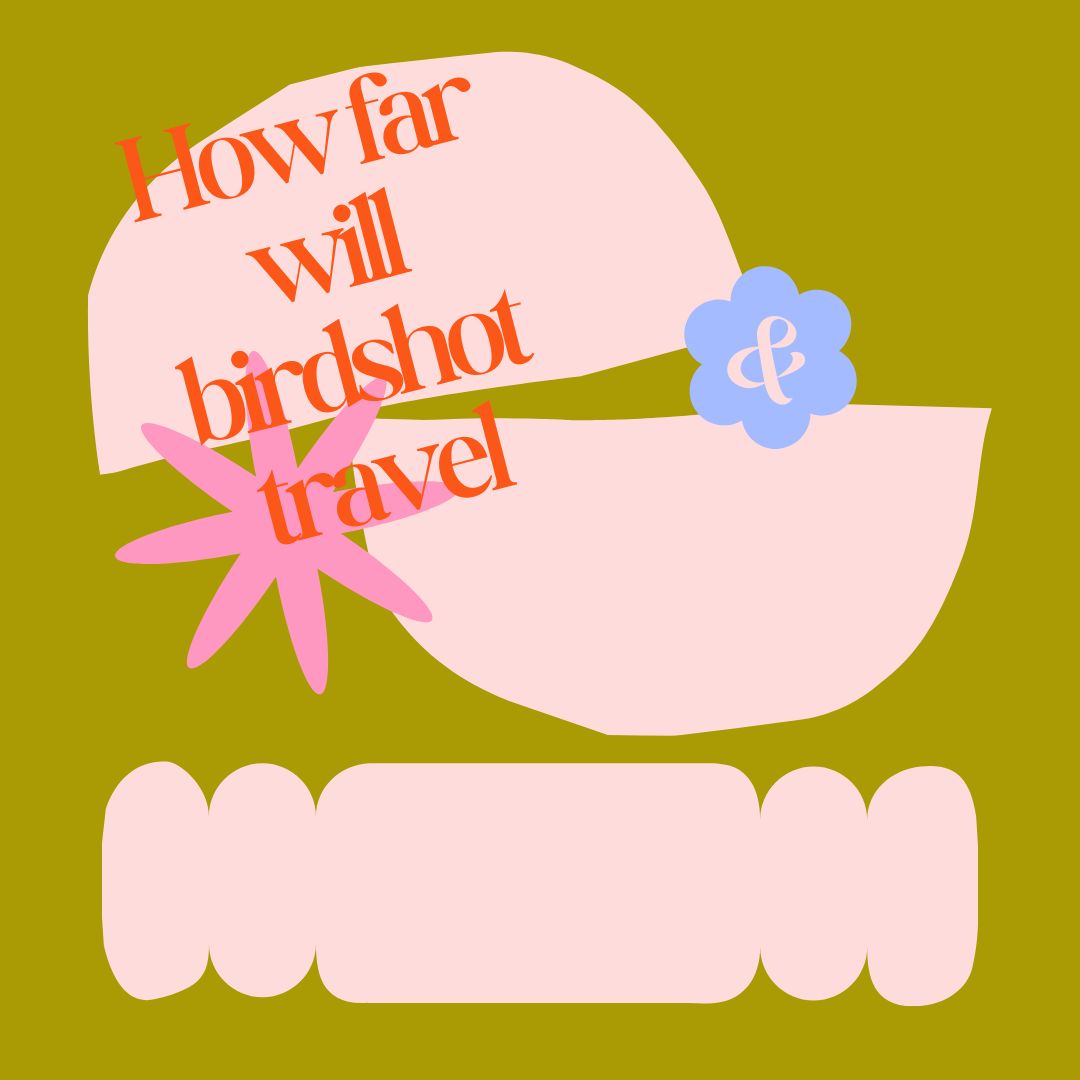 How far will birdshot travel