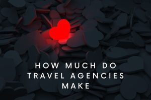 How much do travel agencies make