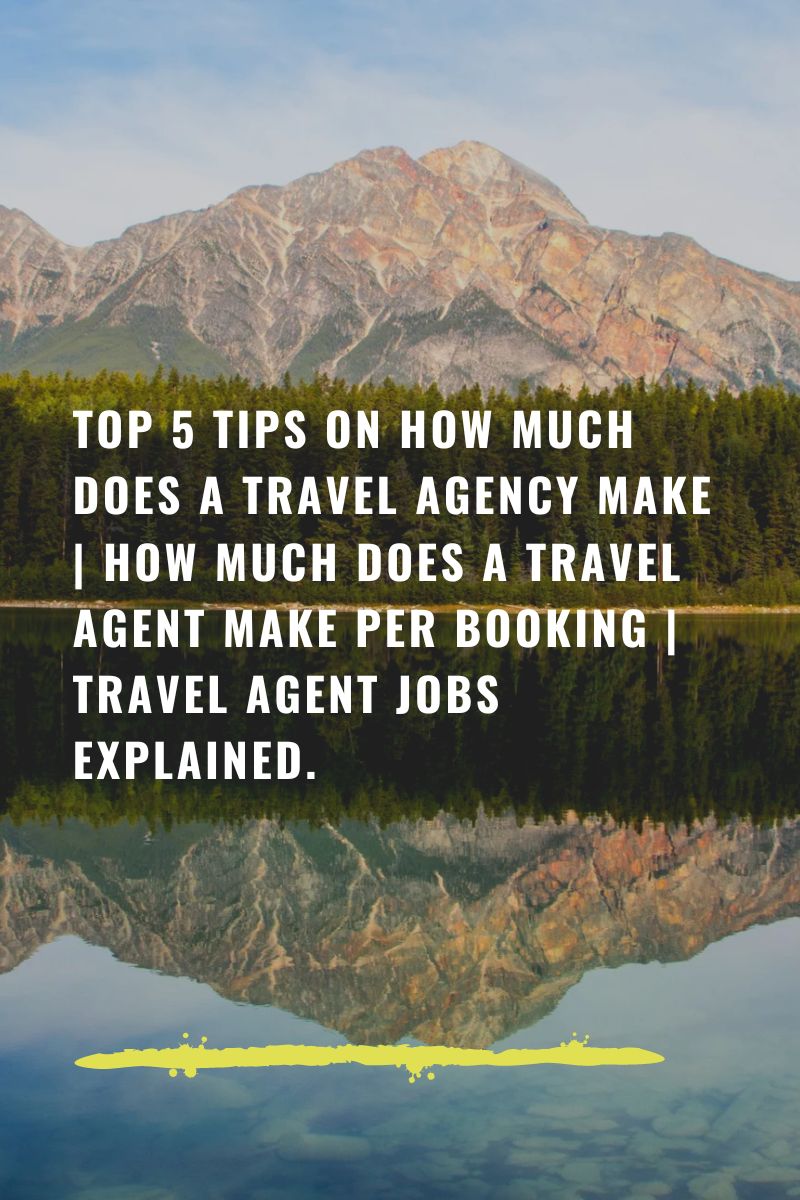 How much does a travel agency make