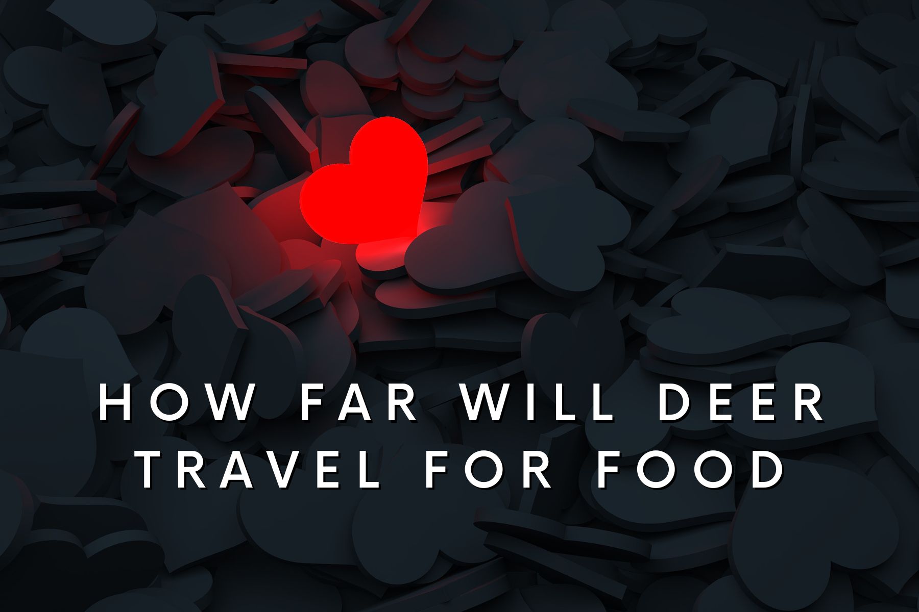 how far will deer travel for food