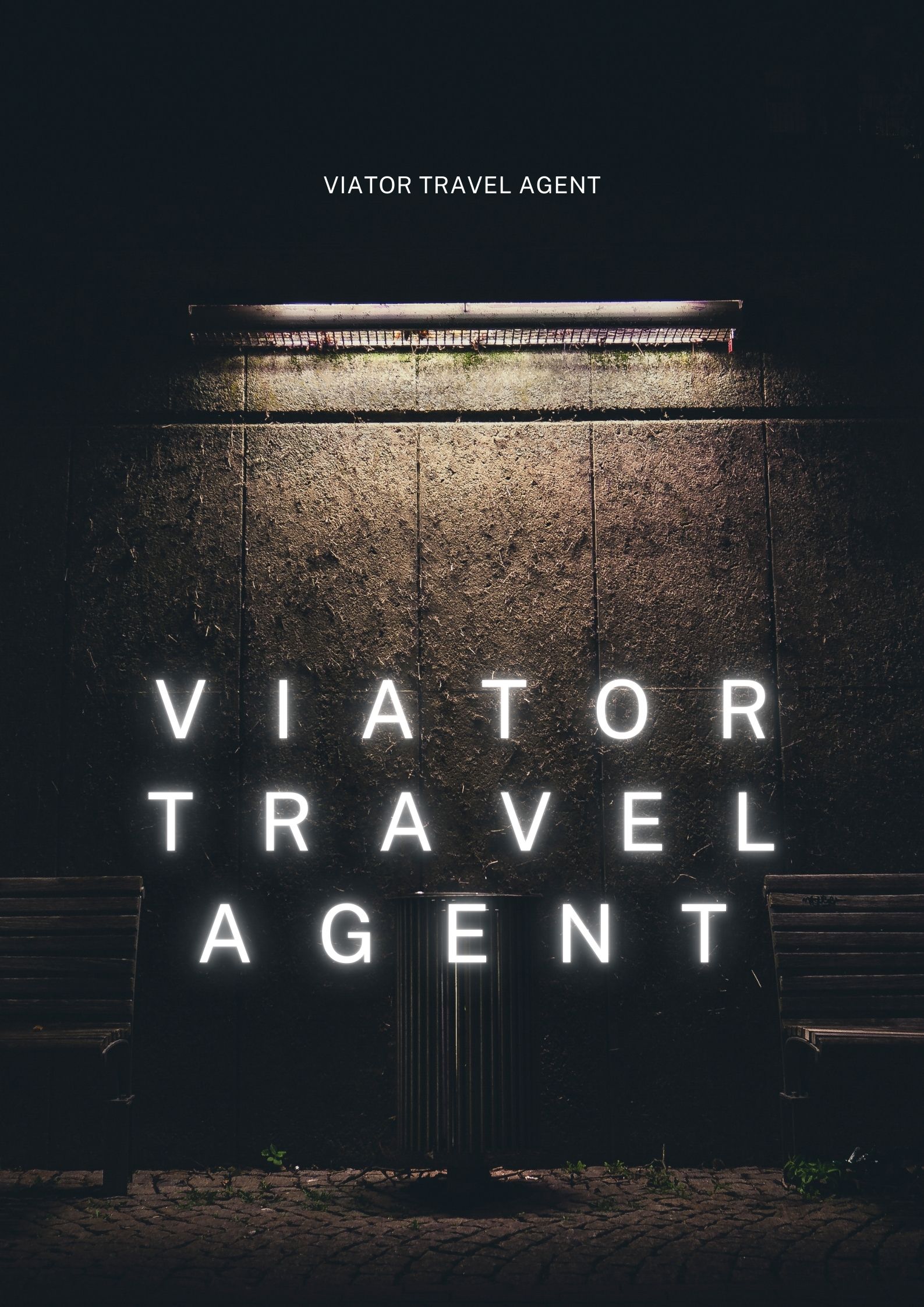 Viator Travel Agent